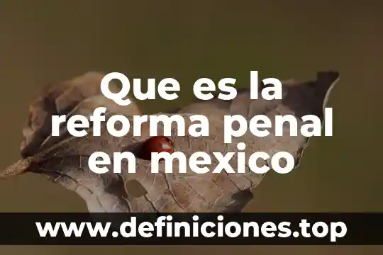 Que es reforma de ley 3 Que es la reforma penal en mexico
