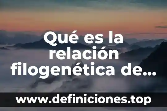 Qué es la relación filogenética de los reinos