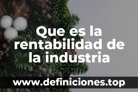 Que es rentabilidad etica 7 Que es la rentabilidad de la industria