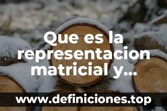 Que es la representacion matricial y tipos