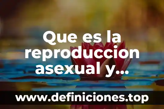 Que es la reproduccion asexual y caracteristicas