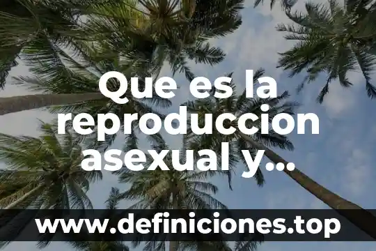Que es la reproduccion asexual y cuales son sus tipos