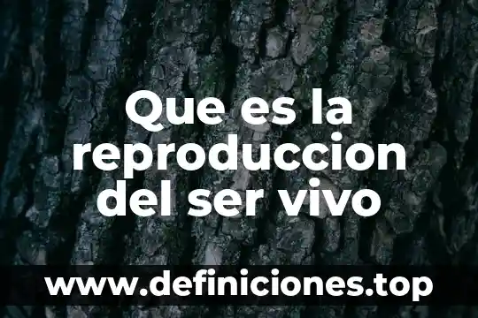 Por que es importante la reproduccion en animales 8 Que es la reproduccion del ser vivo