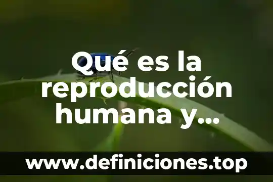 Por que es importante la reproduccion en animales 5 Qué es la reproducción humana y animal
