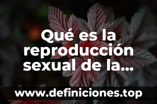 Qué es la reproducción sexual de la flor corta