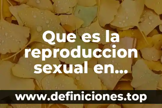 Por que es importante la reproduccion en animales 3 Que es la reproduccion sexual en animales con informacion corta