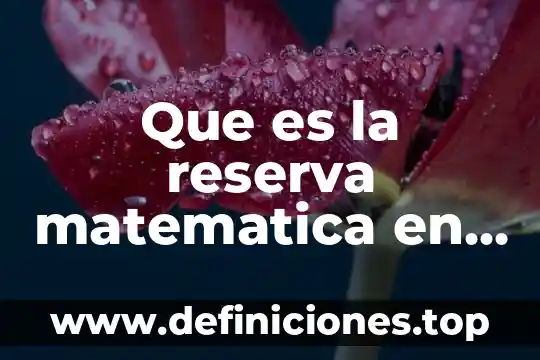 Que es la reserva matematica en seguros inbursa