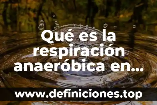 Que es la respiracion su importancia 3 Qué es la respiración anaeróbica en biología