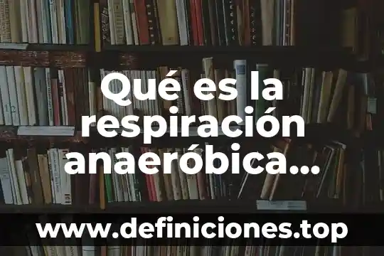 Que es la respiracion su importancia 4 Qué es la respiración anaeróbica para niños