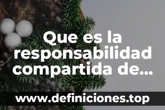 Qué es Educalurantes con su concepto 4 Que es la responsabilidad compartida de gobierno concepto