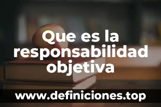 Que es narracion objetiva y ejemplos 5 Que es la responsabilidad objetiva