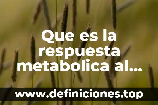 Que es la unidad de respuesta en la escuela 3 Que es la respuesta metabolica al estres articulos