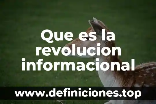 Que es el centro de la revolucion mexicana 3 Que es la revolucion informacional