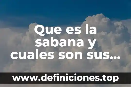Que es la sabana y cuales son sus caracteristicas