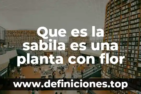 Que es cada parte de una flor 4 Que es la sabila es una planta con flor