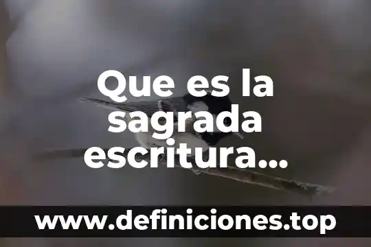 Que es la sagrada escritura resumen