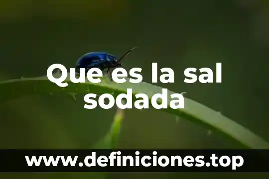 Que es la sal sodada