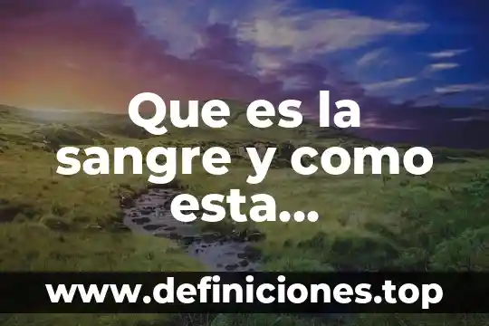 Que es la sangre y como esta compuesta para niños