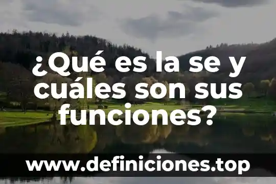 Qué es un transceptor y cuáles son sus tipos 4 ¿Qué es la se y cuáles son sus funciones?