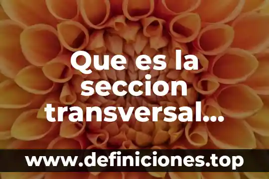 Qué es la educación transversal 6 Que es la seccion transversal electricidad