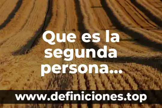Que es un articulo elemento gramatical 7 Que es la segunda persona gramatical