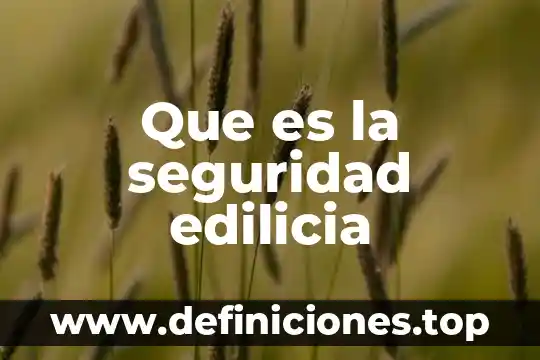 Que es la seguridad edilicia