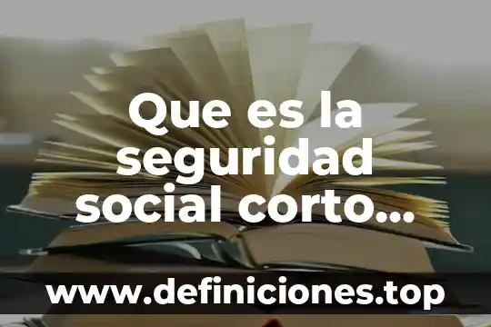 Que es una cuenta por pagar a largo plazo 8 Que es la seguridad social corto plazo