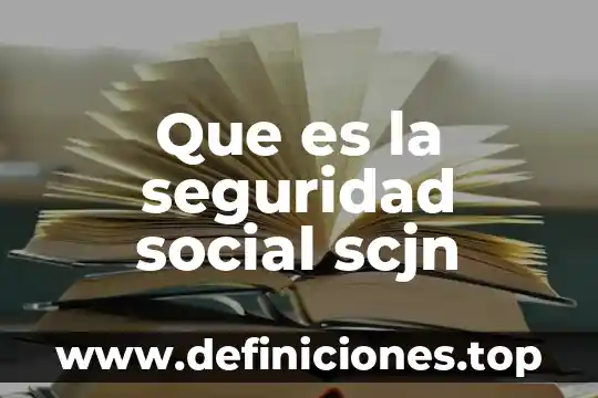 Que es un embargo precautorio scjn fiscal 6 Que es la seguridad social scjn
