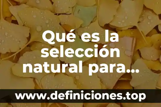Qué es la selección natural para dummies