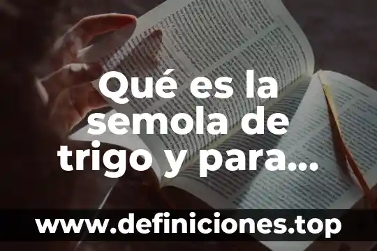 Que es la zarzaparrilla y para que sirve 5 Qué es la semola de trigo y para qué sirve