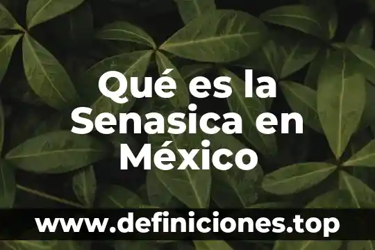 Fondo unido mexico que es 5 Qué es la Senasica en México