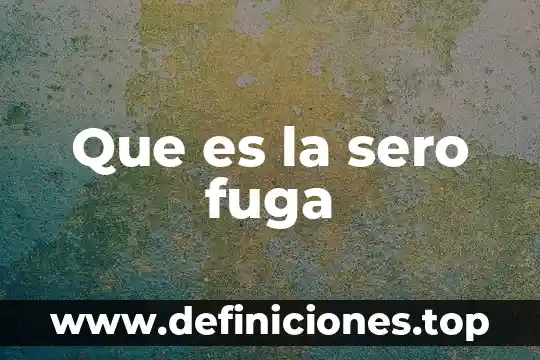 Que es la sero fuga
