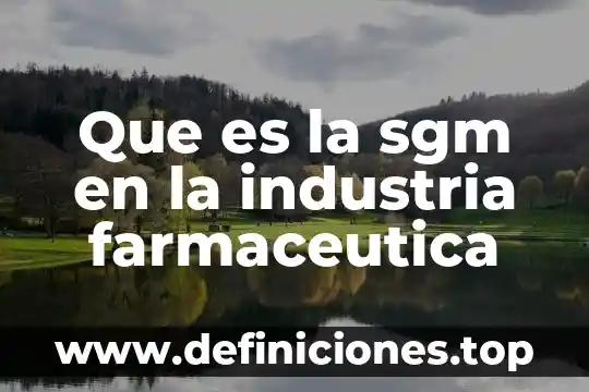Que es trabajar en regulacion farmaceutica 6 Que es la sgm en la industria farmaceutica
