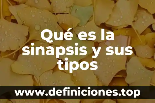 Agua alcalina ionizada que es 8 Qué es la sinapsis y sus tipos