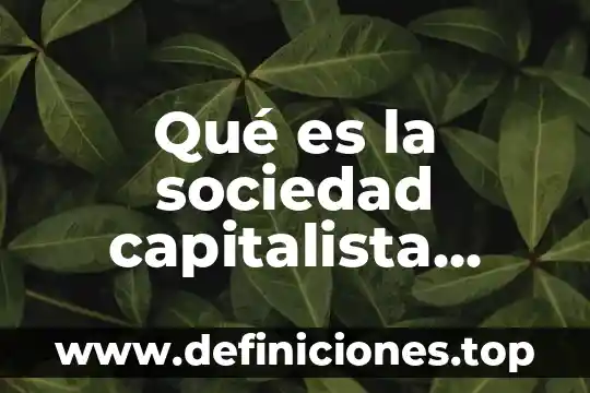 Qué es la sociedad capitalista burguesa
