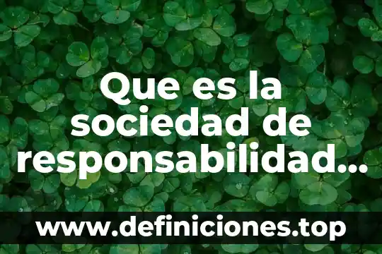 Que es teoria de la sociedad 3 Que es la sociedad de responsabilidad limitada adminsitrativa