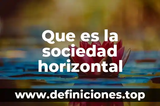 Que es la sensibilidad dental en la sociedad 5 Que es la sociedad horizontal