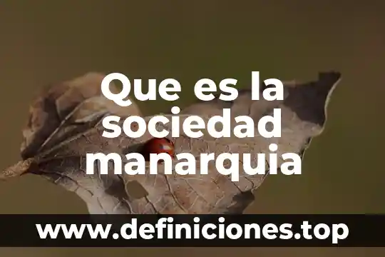 Que es un fenomeno sociedad 3 Que es la sociedad manarquia