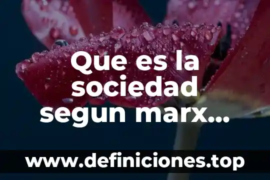 Que es la sociedad segun marx weber