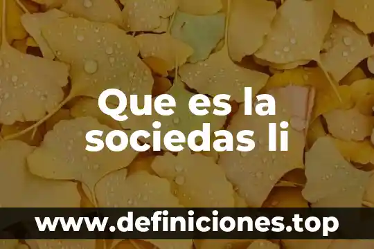 Que es la integracion segun autores li 5 Que es la sociedas li