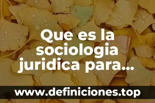 Que es la teoria estructuralista de max weber 8 Que es la sociologia juridica para max weber