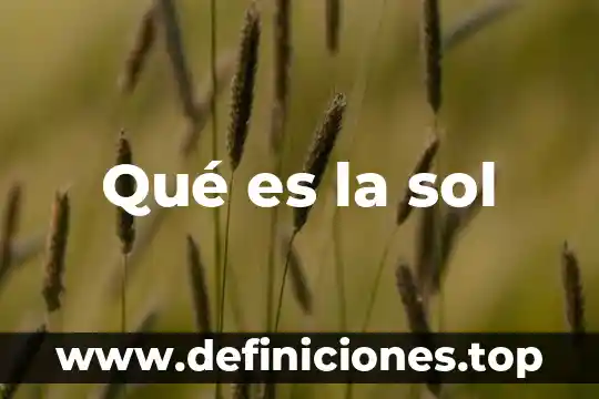 Qué es la sol