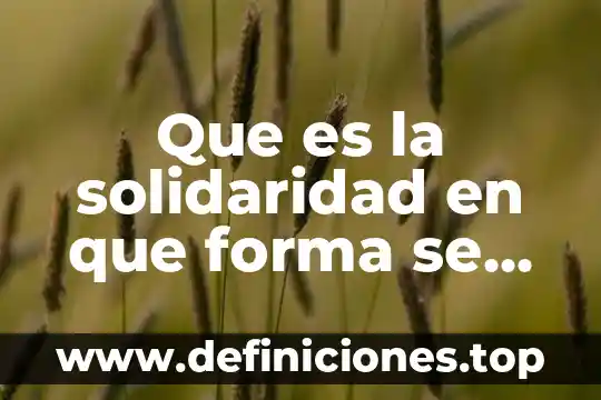 Que es la solidaridad en que forma se manifiesta