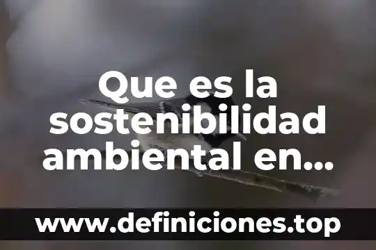 Que es el principio sostenibilidad en derecho ambiental 8 Que es la sostenibilidad ambiental en playas