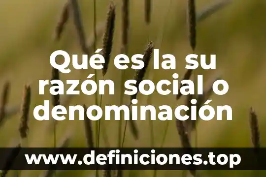 Qué es denominación y naturaleza del producto 4 Qué es la su razón social o denominación