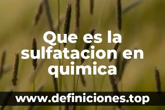Que es la sulfatacion en quimica