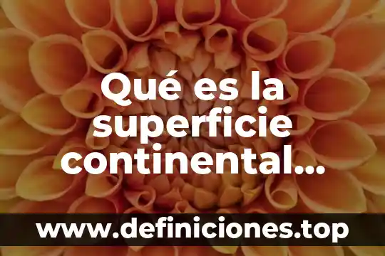 Que es optimista definicion 6 Qué es la superficie continental definición