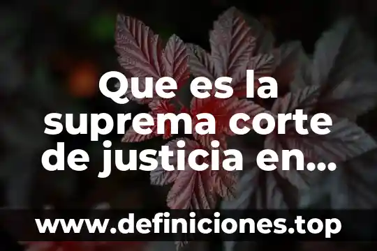 Que es para la suprema corte pago 8 Que es la suprema corte de justicia en méxico