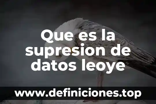 Que es alias en datos de facturacion 8 Que es la supresion de datos leoye