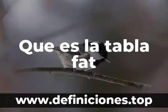 Que es una tabla telefonica administrativa 6 Que es la tabla fat